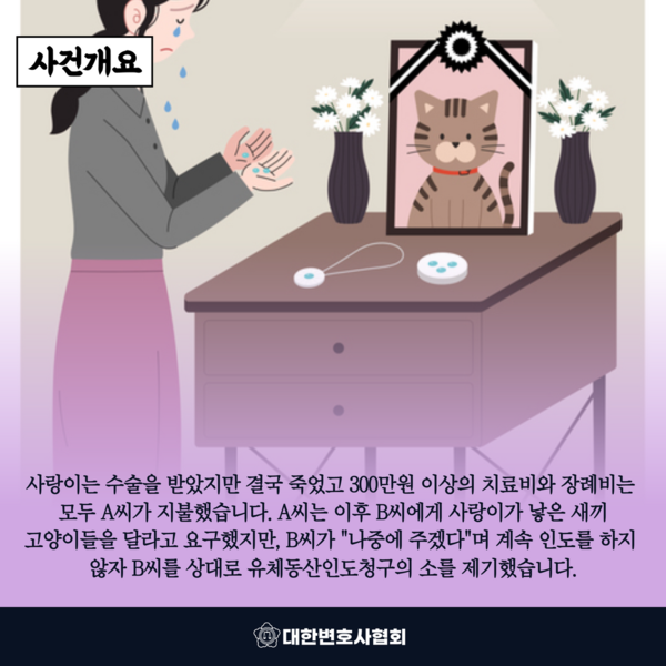[대전지방법원 판결] '캣맘'에 길 고양이 소유권 인정 첫 판결