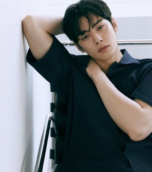 차은우 ‘200억 탈세’ 의혹… 법조계 “검찰 고발까지 갈 수 있는 사안”