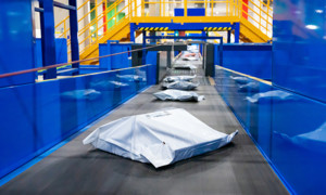 안권섭 특검, 쿠팡 퇴직금 외압 의혹 직권남용 기소... 관봉권은 기소없... - 뉴스 썸네일 이미지